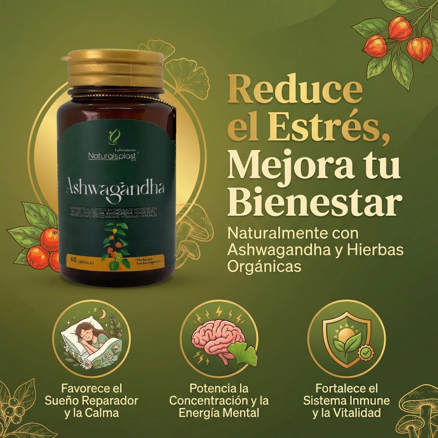 ASHWAGANDHA - SUPLEMENTO ALIMENTICIO